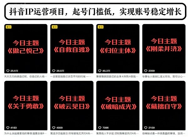 图片[1]-抖音今日主题IP运营教程与低门槛文字账号起号思路-数品库