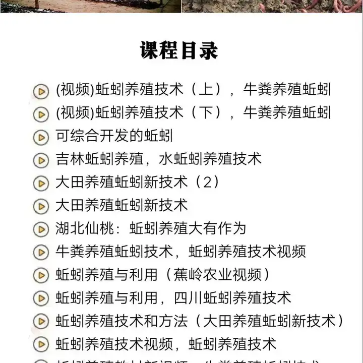 图片[2]-蚯蚓养殖技术视频资料合集 大棚与牛粪养殖实操教程-数品库