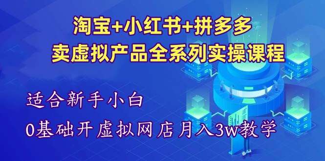 图片[1]-淘宝小红书拼多多虚拟产品开店运营实操课程合集-数品库