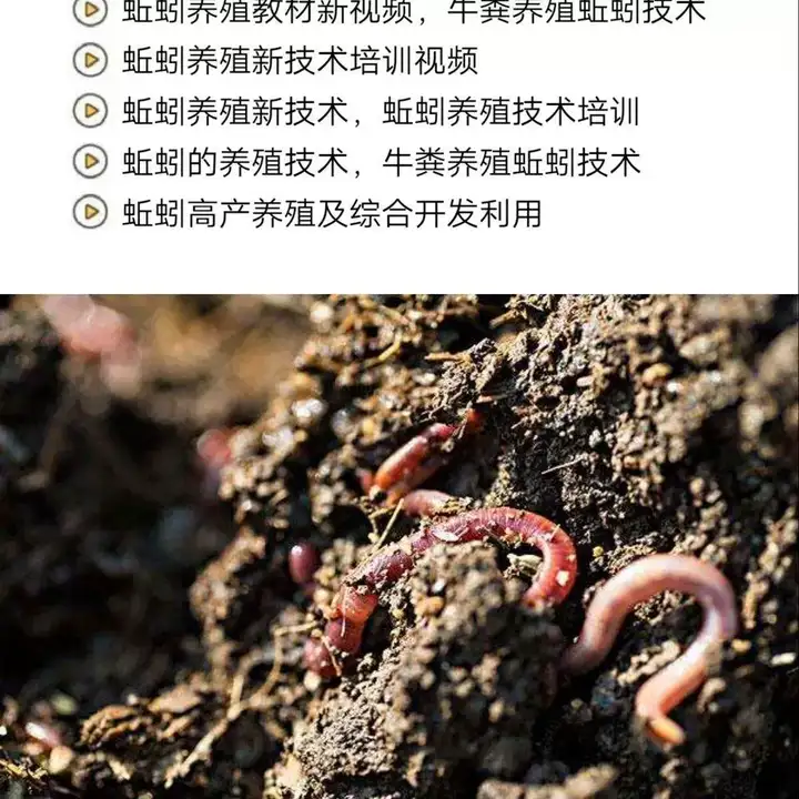图片[3]-蚯蚓养殖技术视频资料合集 大棚与牛粪养殖实操教程-数品库
