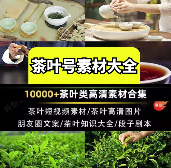 图片[1]-10万+茶艺茶叶短视频与图片素材合集一次收齐-数品库