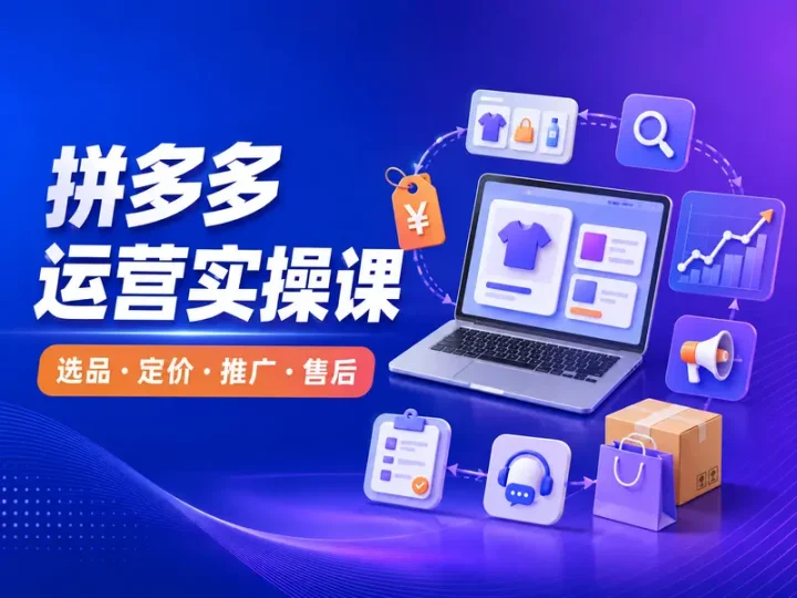 拼多多店铺运营实操课:选品定价推广与售后全流程-数品库