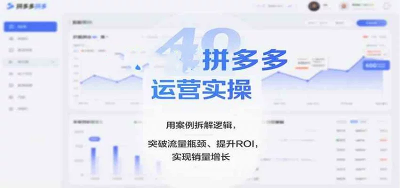 图片[1]-拼多多店铺运营实操课：选品定价推广与售后全流程-数品库