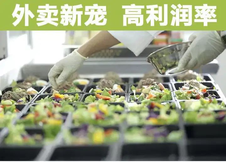 图片[2]-轻食沙拉商用配方教程：酱汁搭配与外卖备餐流程-数品库