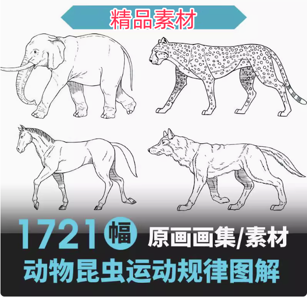 图片[1]-1721幅动物昆虫运动规律图解与原画参考素材-数品库