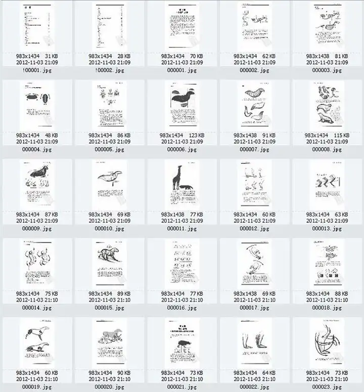 图片[2]-1721幅动物昆虫运动规律图解与原画参考素材-数品库