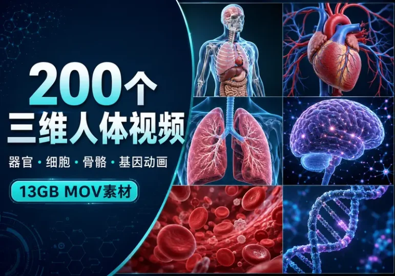 200个三维人体器官细胞医学动画视频素材合集-数品库