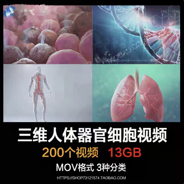 图片[1]-200个三维人体器官细胞医学动画视频素材合集-数品库