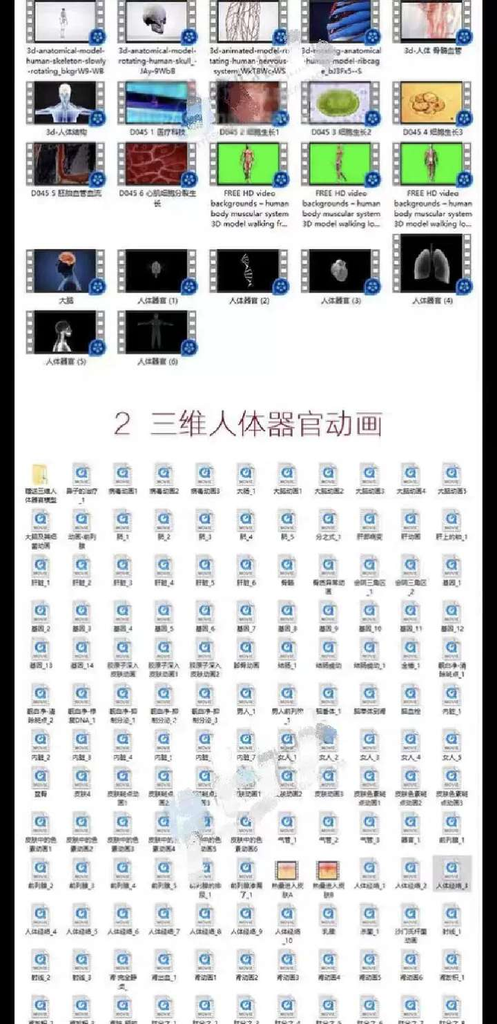 图片[2]-200个三维人体器官细胞医学动画视频素材合集-数品库