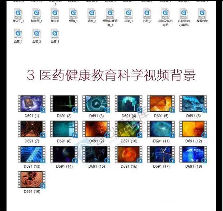 图片[3]-200个三维人体器官细胞医学动画视频素材合集-数品库