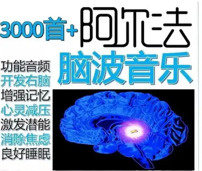 图片[4]-3000+首阿尔法脑波轻音乐与环境音MP3合集-数品库