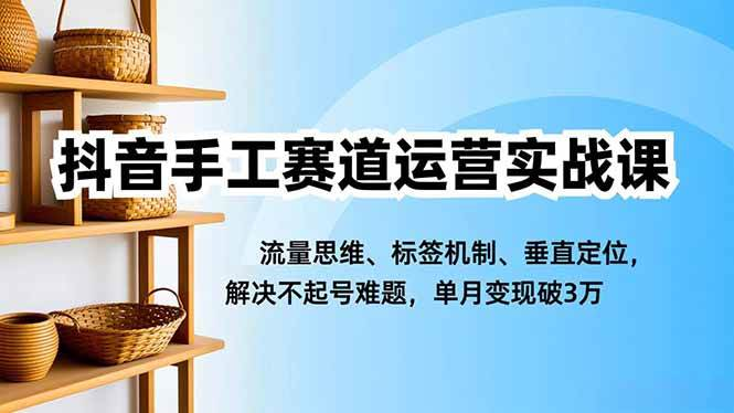 图片[1]-抖音手工赛道运营实战课账号定位与流量思维教程-数品库