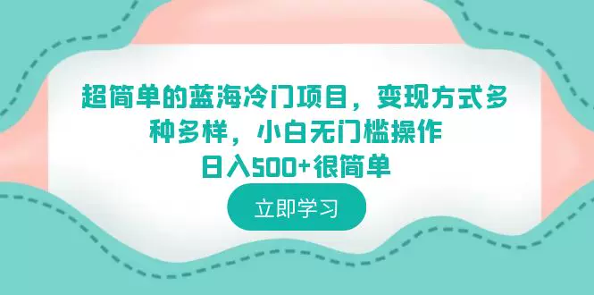 图片[1]-蓝海冷门项目零基础实操教程：账号搭建与多元变现思路-数品库