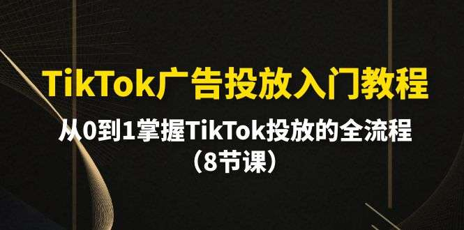 图片[1]-TikTok广告投放入门教程8节课全流程实操解析-数品库