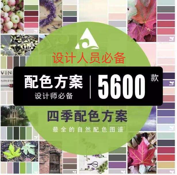 图片[1]-5600款设计配色方案合集：PS色卡参考与配色原理教程-数品库