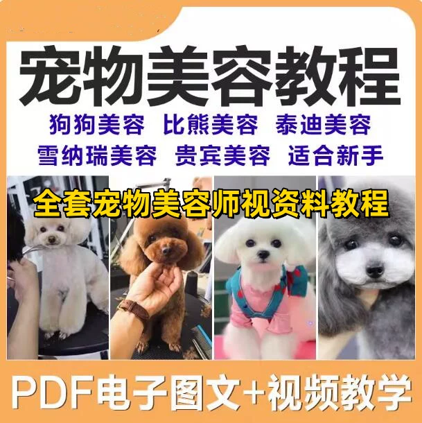 图片[1]-宠物美容自学教程含犬类洗护修剪造型与视频图文资料-数品库