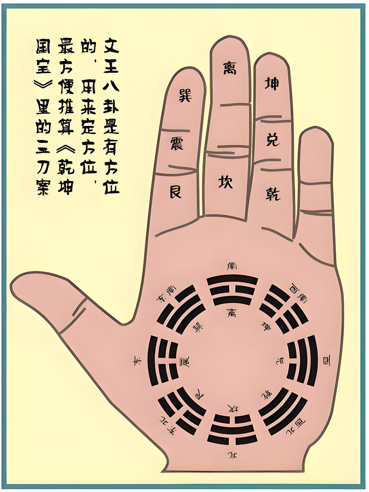 图片[1]-零基础手相入门课程：掌纹流年、西方占星与真人案例解析-数品库