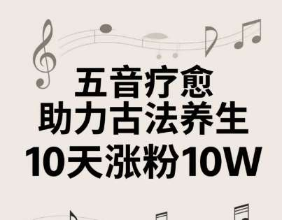 图片[1]-古法五音养生视频制作教程：AI创作与运营资料-数品库
