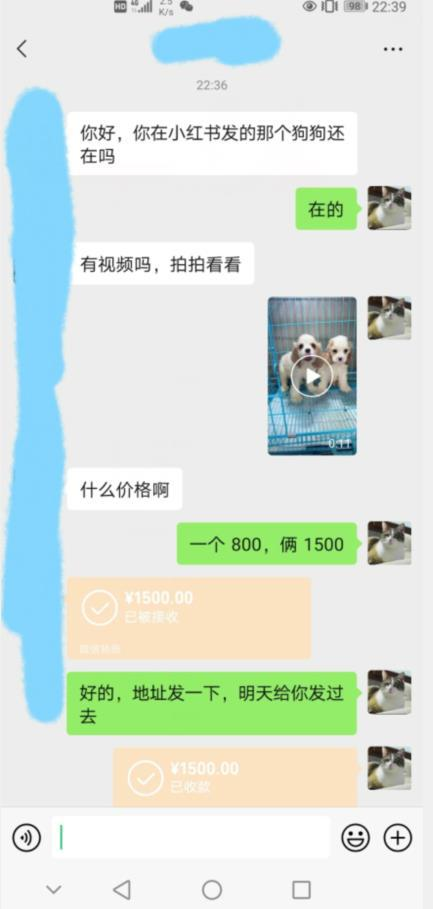 图片[2]-同城萌宠项目运营实操教程：货源引流与成交方法-数品库