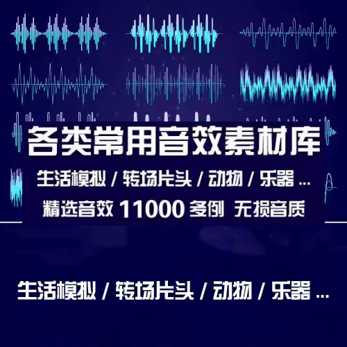 图片[1]-11000例生活转场动物乐器常用音效素材库合集-数品库