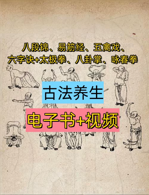 图片[1]-健身养生传统武术电子书视频合集八段锦易筋经太极拳资料-数品库