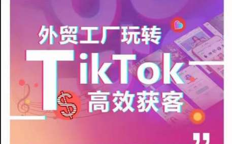 图片[1]-外贸工厂短视频获客课程：B2B询盘与案例拆解-数品库