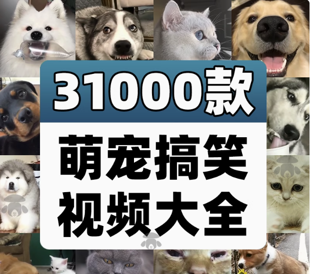 图片[1]-31000款萌宠猫狗搞笑短视频直播剪辑素材合集-数品库