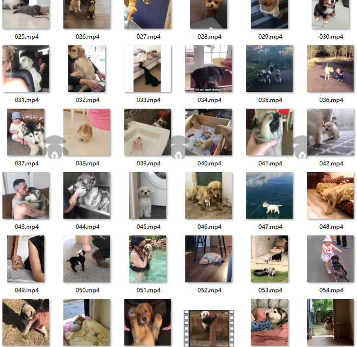 图片[3]-31000款萌宠猫狗搞笑短视频直播剪辑素材合集-数品库
