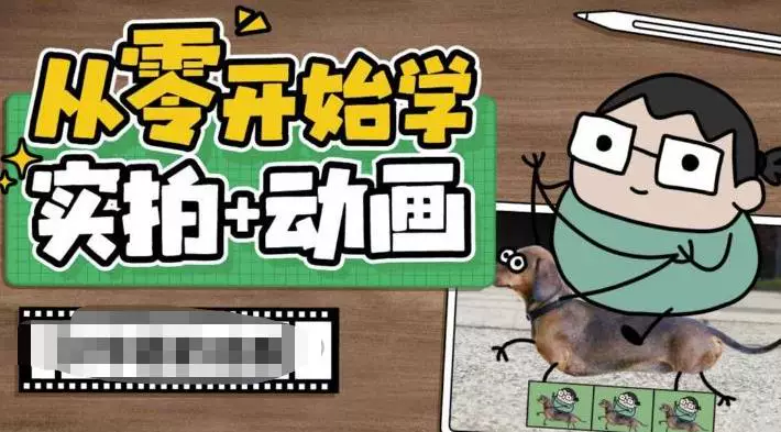 图片[1]-49节零基础实拍动画制作视频教程从分镜到成片-数品库