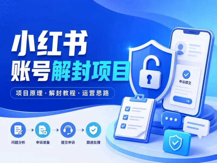 小红书账号解封项目实操教程与运营思路整理-数品库